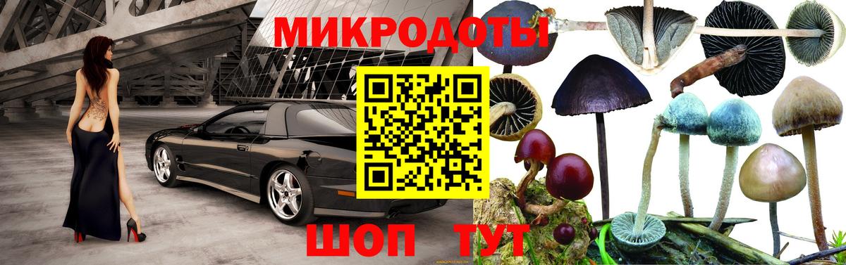 Псилоцибиновые грибы GOLDEN TEACHER Солнечногорск